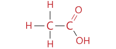 Acetic Acid