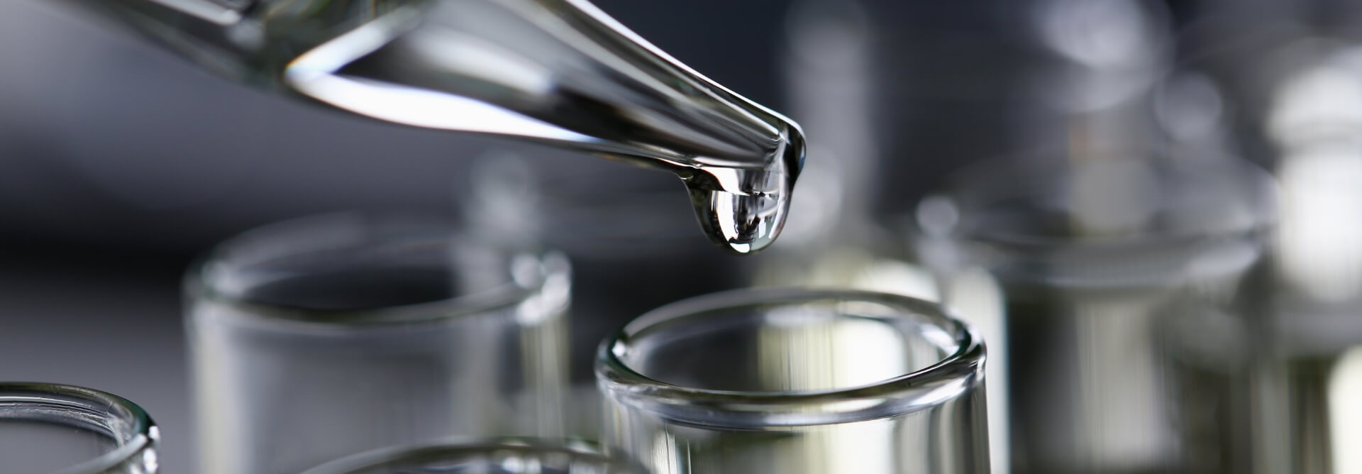 Biomass to Chemicals