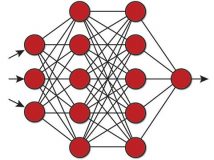 Newsletter-Vol2.No1_